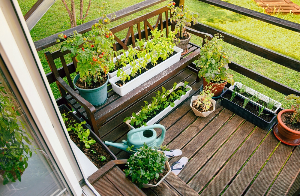 All About Herbs