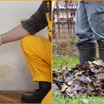 Winter Preparation: Cleaning and Gardening Tips for NDIS Participants Cleaner and Gardener Winter Tips